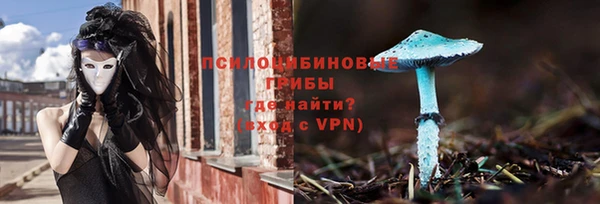 сатива Краснослободск