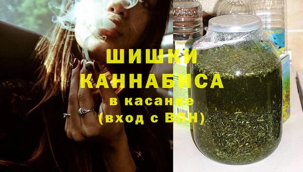 сатива Краснослободск