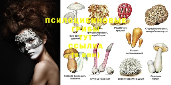 кокс Киреевск