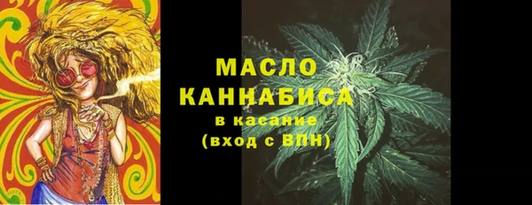 сатива Краснослободск