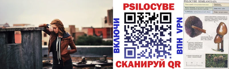 ОМГ ОМГ онион  Кохма  Псилоцибиновые грибы Psilocybine cubensis 