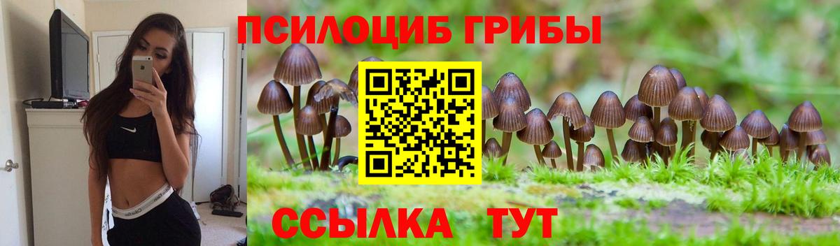 Псилоцибиновые грибы ЛСД  Вход с VPN  Кохма 